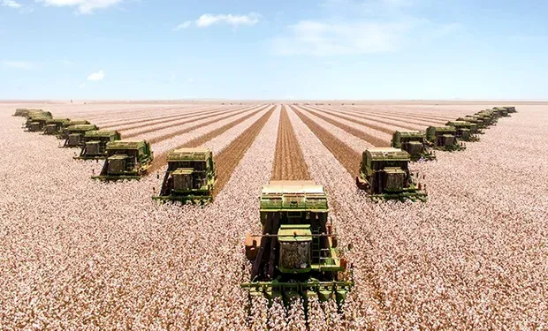Bom Futuro investe R$ 871 milhões e amplia área agrícola em São José do Rio Claro/MT após acordo bilionário da Cosan